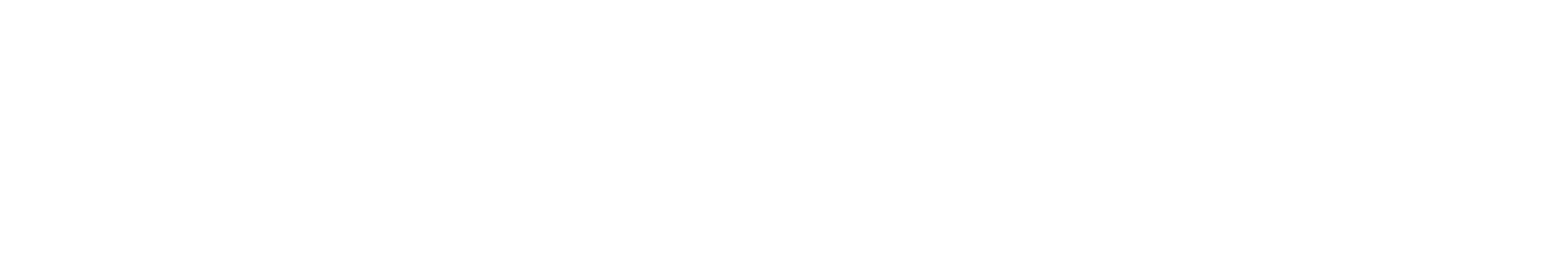 Bermuda Wordmark White