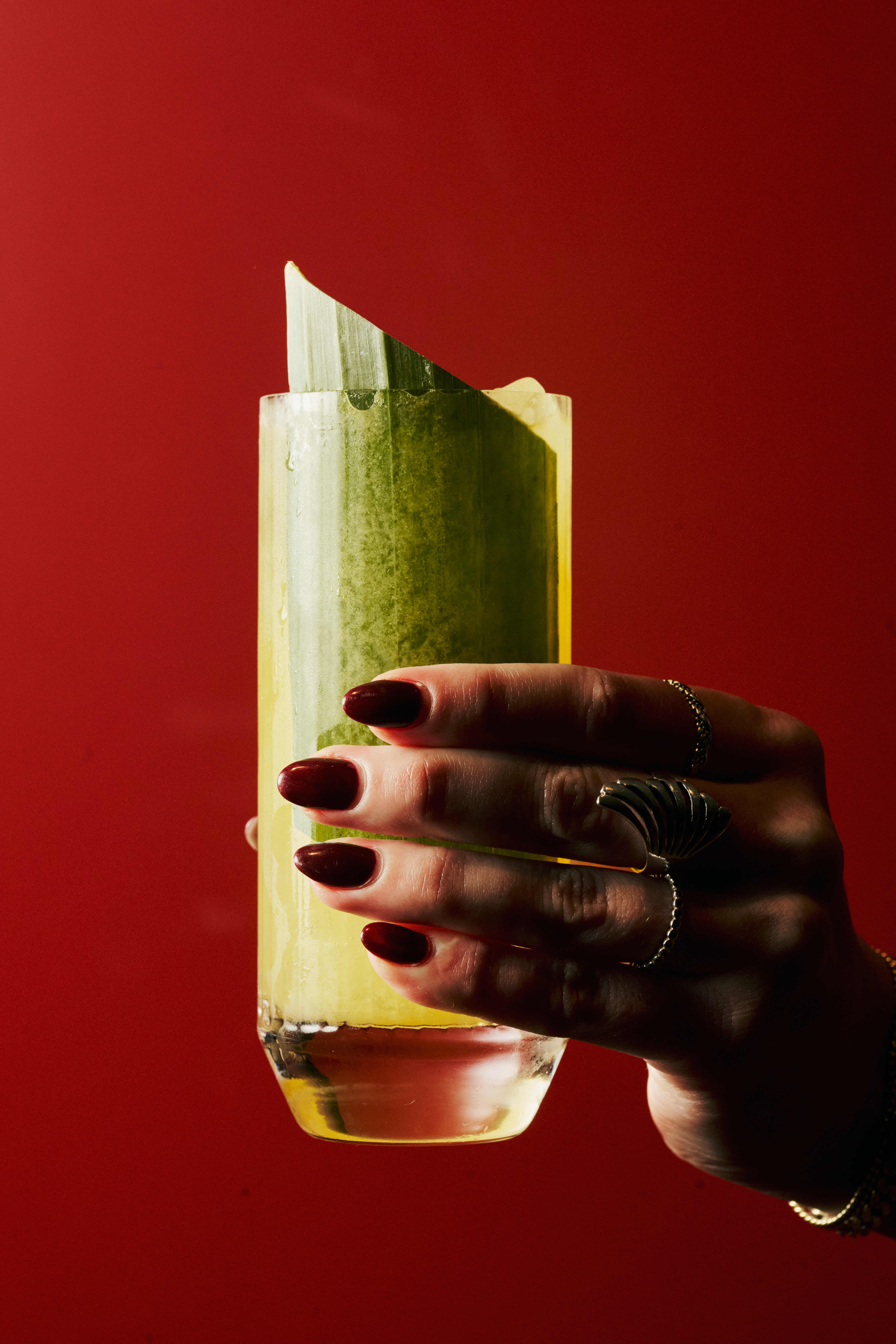 2024 11 27 Madklubben Jade 1708