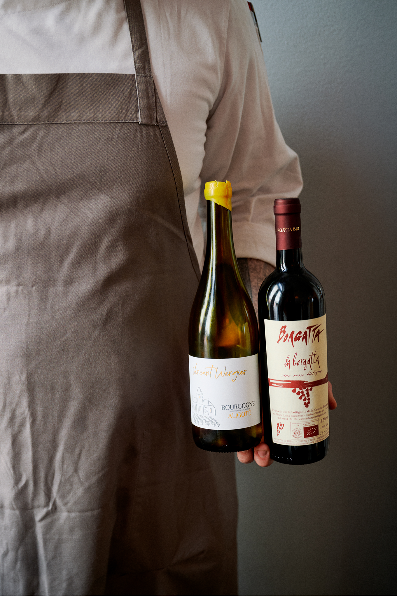 Falk Vin 2 1