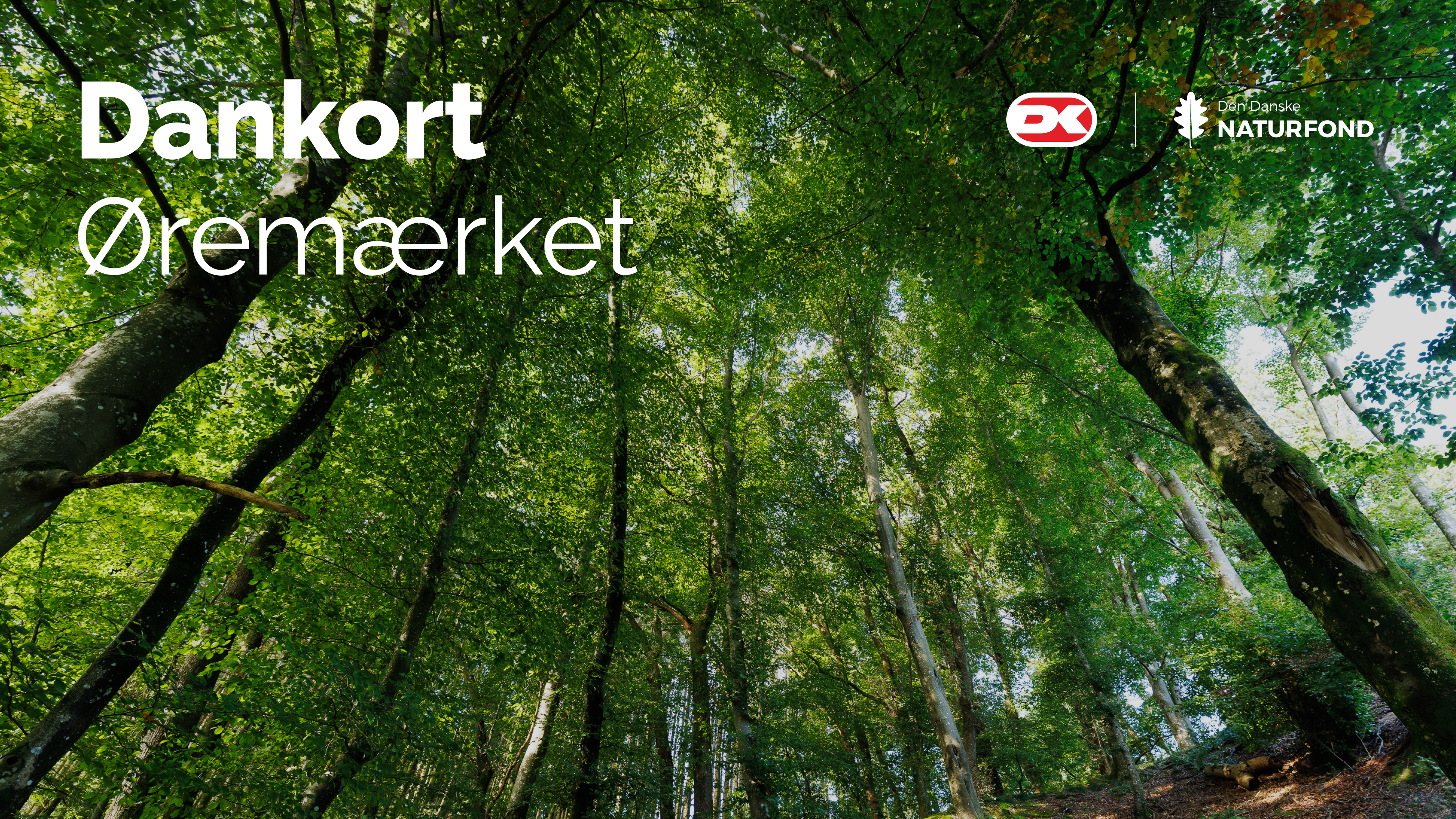 Key Visual Bredformat 4