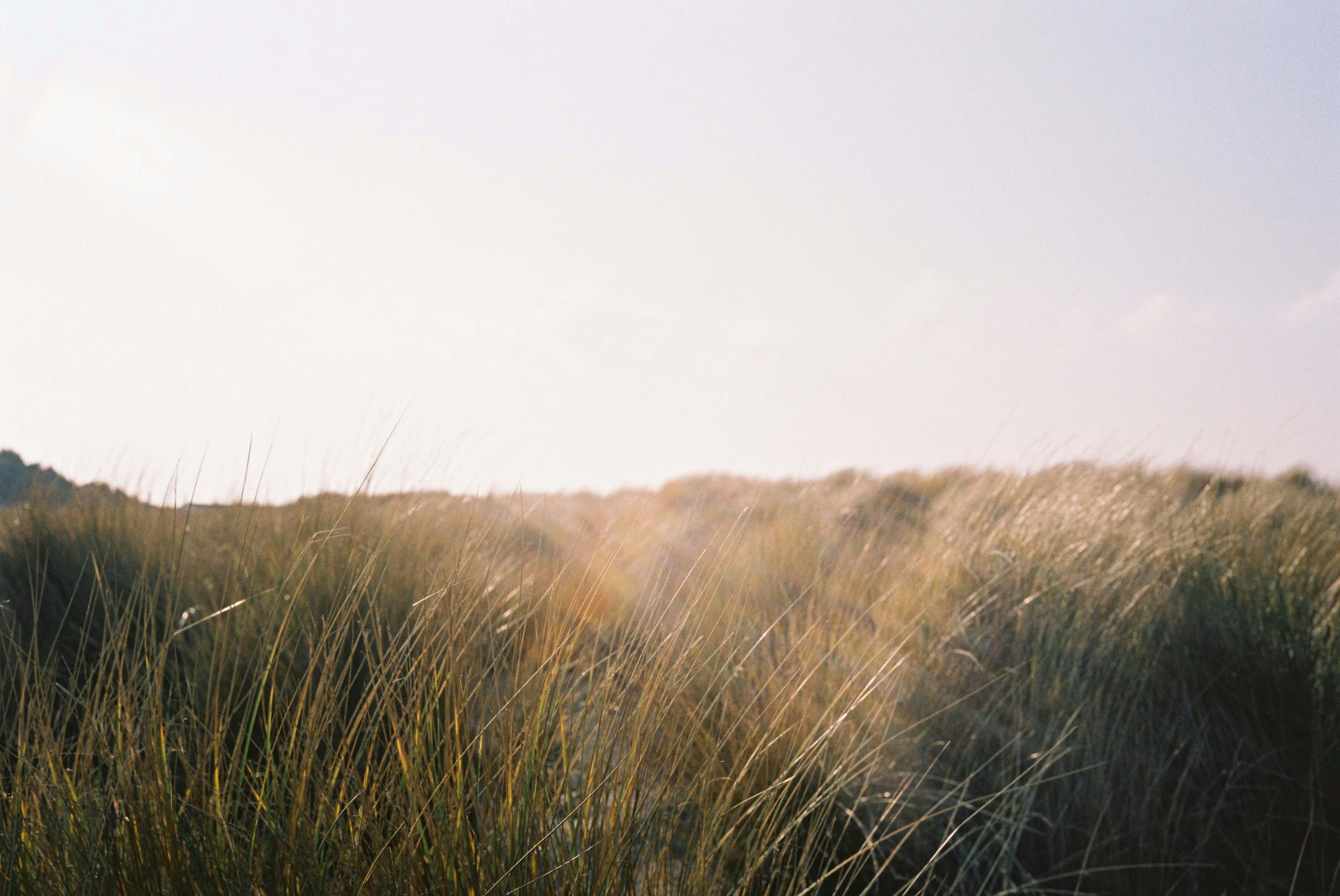 Jeroen Bendeler Yhxsgzykhf8 Unsplash(1)