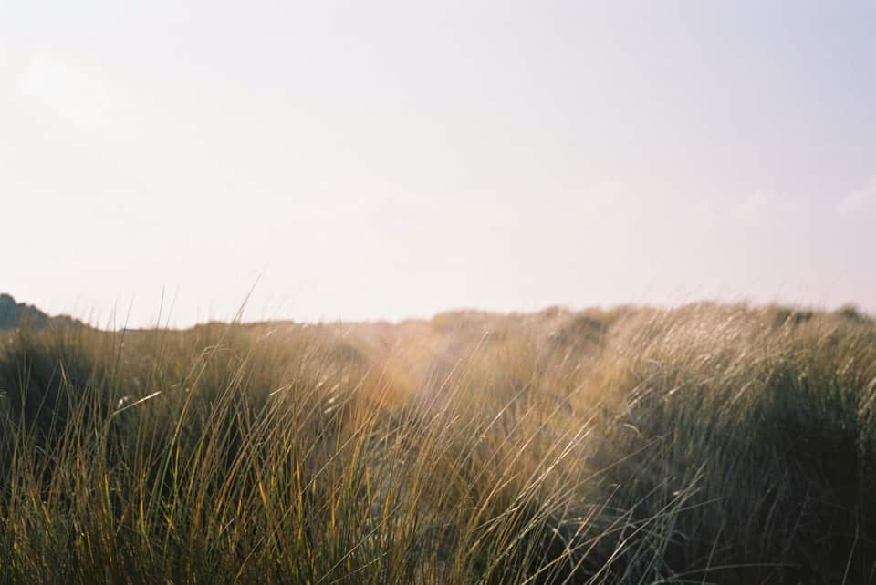Jeroen Bendeler Yhxsgzykhf8 Unsplash(1)