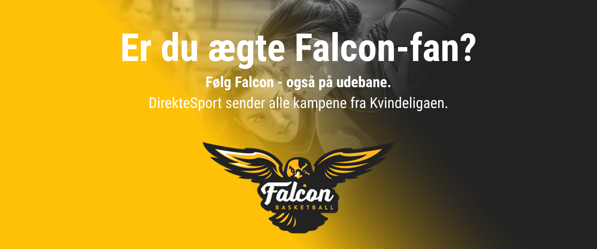 Fanboks Fal